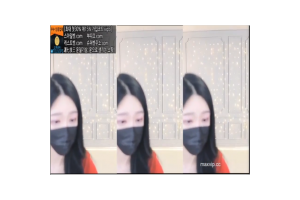 보지넷 야동 사이트