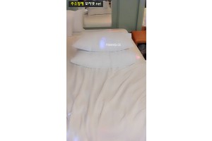 보지넷 야동 사이트