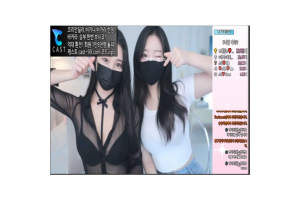 보지넷 야동 사이트