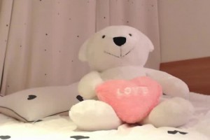 보지넷 야동 사이트