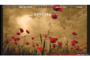 보지넷 야동 사이트