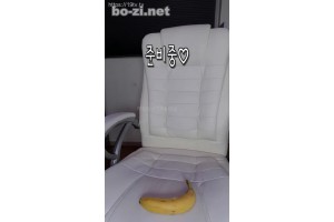 보지넷 야동 사이트