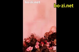보지넷 야동 사이트