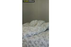 보지넷 야동 사이트