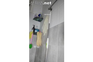 보지넷 야동 사이트