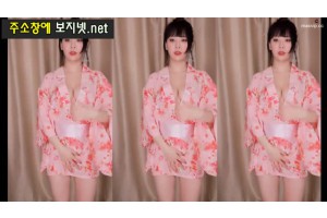 보지넷 야동 사이트