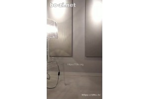 보지넷 야동 사이트
