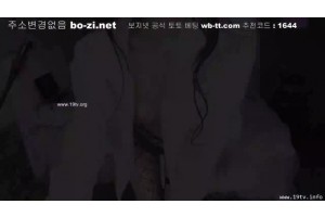 보지넷 야동 사이트