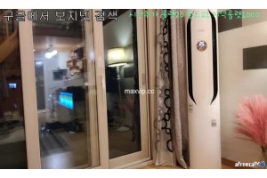 보지넷 야동 사이트