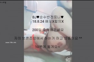 보지넷 야동 사이트
