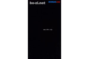 보지넷 야동 사이트