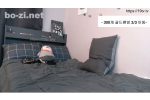 보지넷 야동 사이트