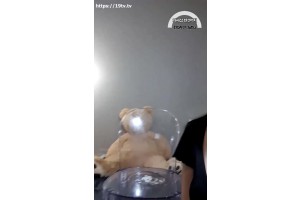 보지넷 야동 사이트