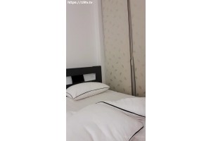 보지넷 야동 사이트