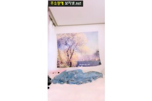 보지넷 야동 사이트