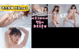 보지넷 야동 사이트