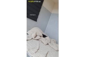 보지넷 야동 사이트
