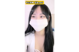 보지넷 야동 사이트
