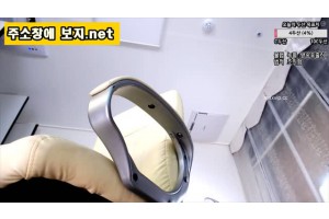 보지넷 야동 사이트