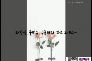 보지넷 야동 사이트