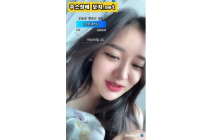 보지넷 야동 사이트