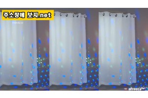 보지넷 야동 사이트