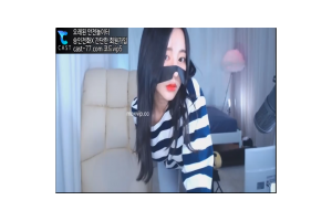 보지넷 야동 사이트