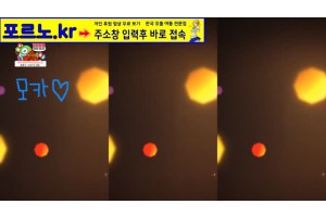 보지넷 야동 사이트