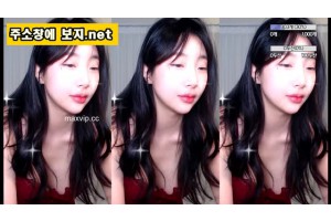 보지넷 야동 사이트