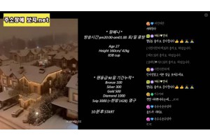 보지넷 야동 사이트