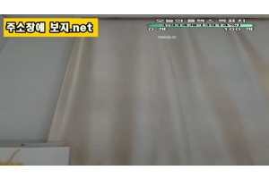 보지넷 야동 사이트