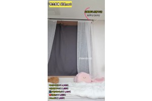 보지넷 야동 사이트