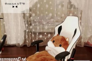 보지넷 야동 사이트