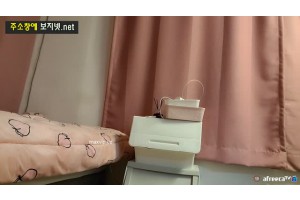 보지넷 야동 사이트