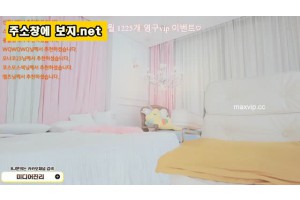보지넷 야동 사이트