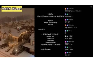 보지넷 야동 사이트