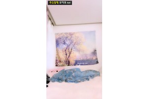 보지넷 야동 사이트