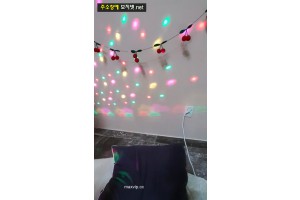 보지넷 야동 사이트