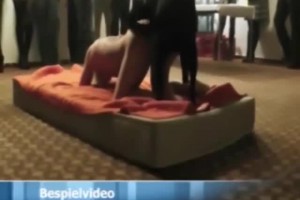 보지넷 야동 사이트