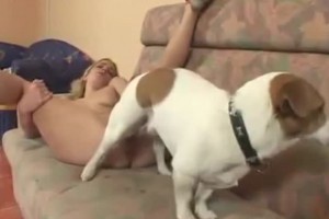 보지넷 야동 사이트