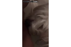 보지넷 야동 사이트