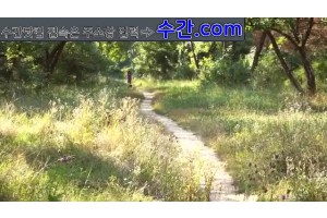 보지넷 야동 사이트
