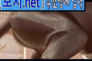 보지넷 야동 사이트