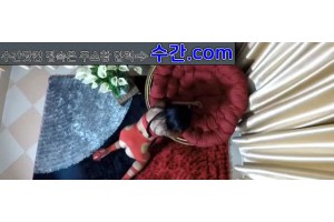 보지넷 야동 사이트