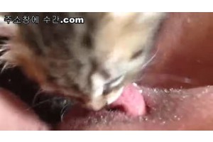 보지넷 야동 사이트