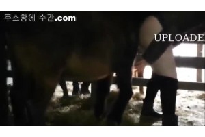 보지넷 야동 사이트
