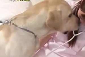 보지넷 야동 사이트
