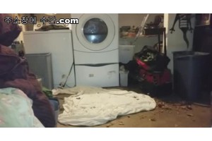 보지넷 야동 사이트