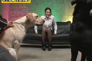 보지넷 야동 사이트