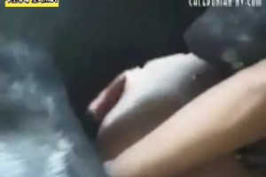 보지넷 야동 사이트